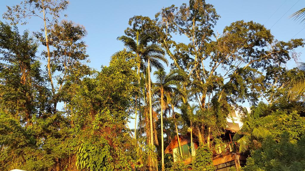 Wasai Puerto Maldonado Eco Lodge Exterior foto